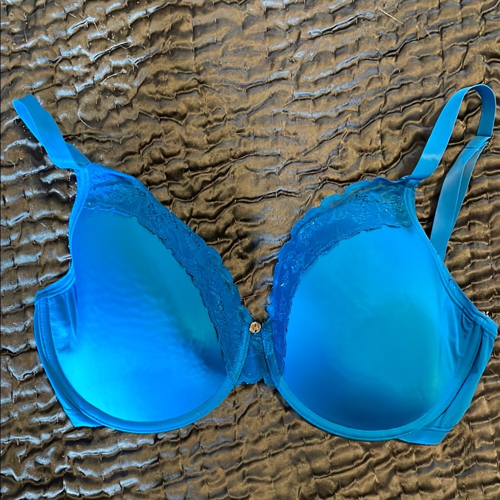 Elegant Blue Lace Natori bra